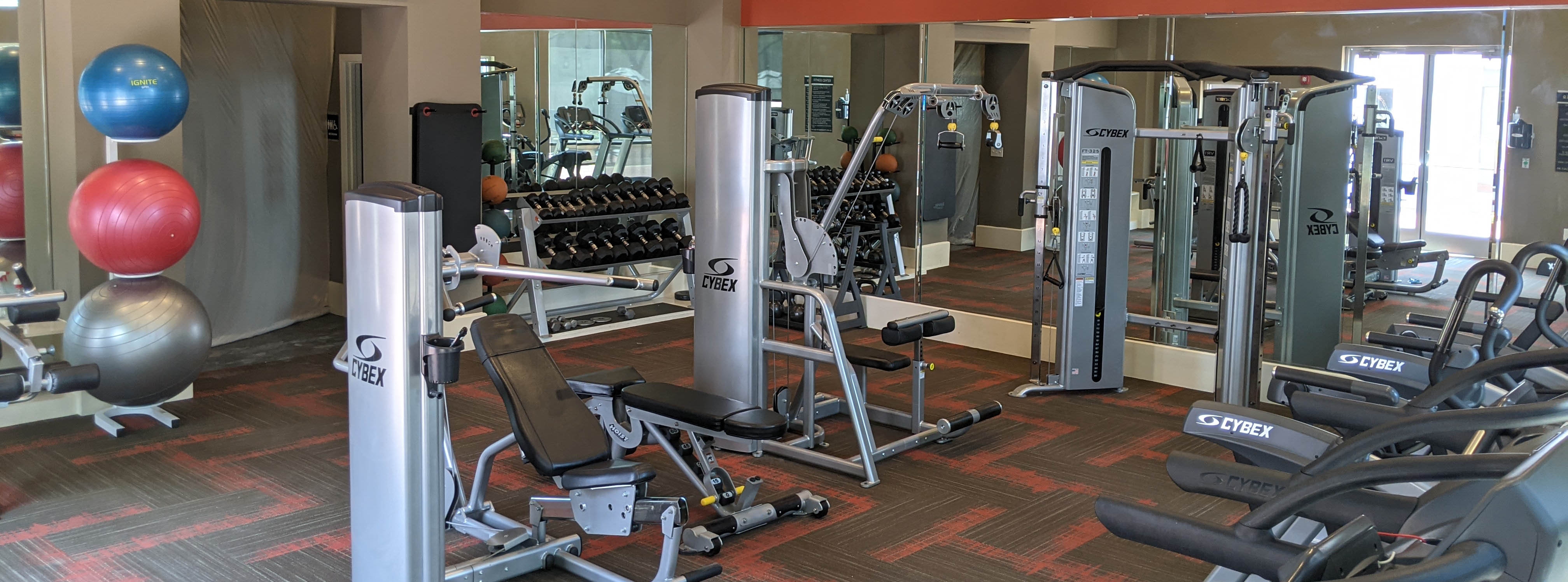 Fully equipped fitness center with treadmills, elipticals, weight machines, etc