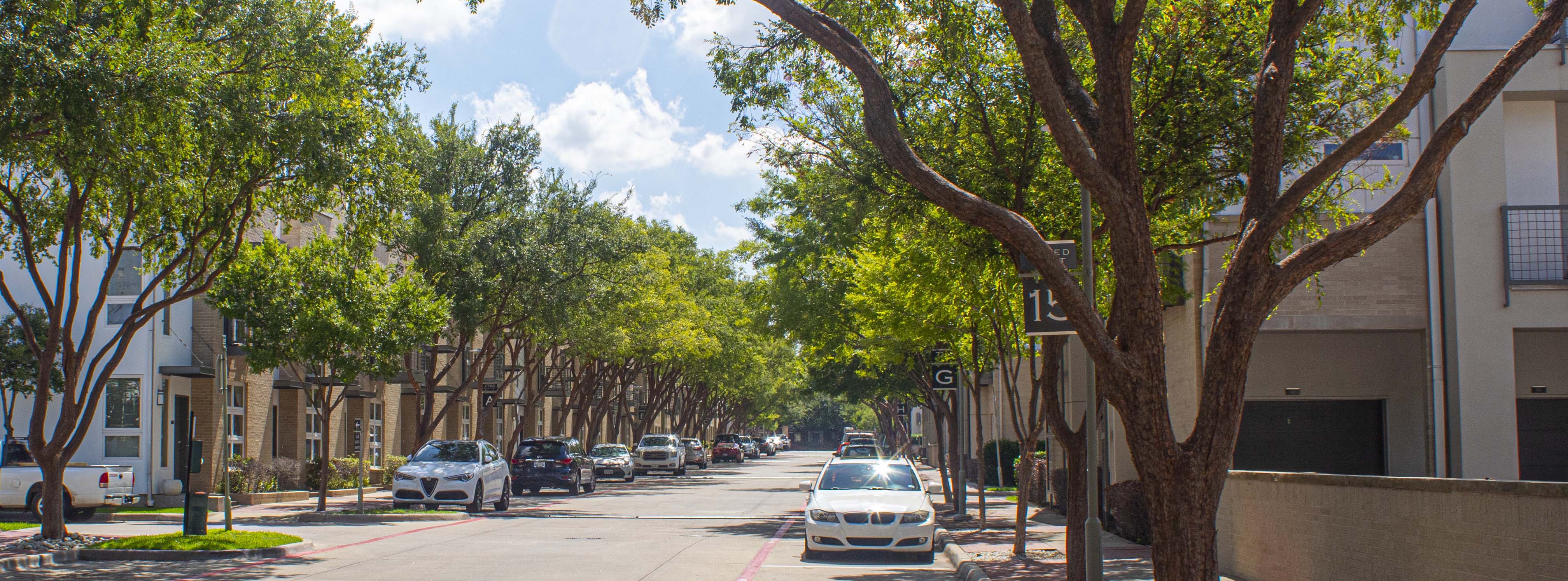 The exterior landscaping of our community is expertly maintaned